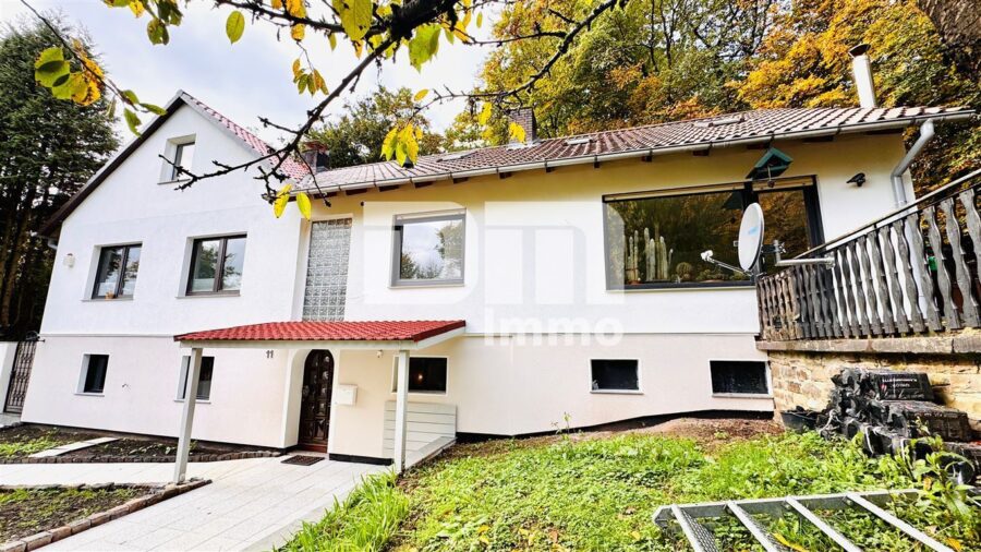 Umfassend saniertes Ein- Zweifamilienhaus auf großem Grundstück in Traumlage - Frontansicht